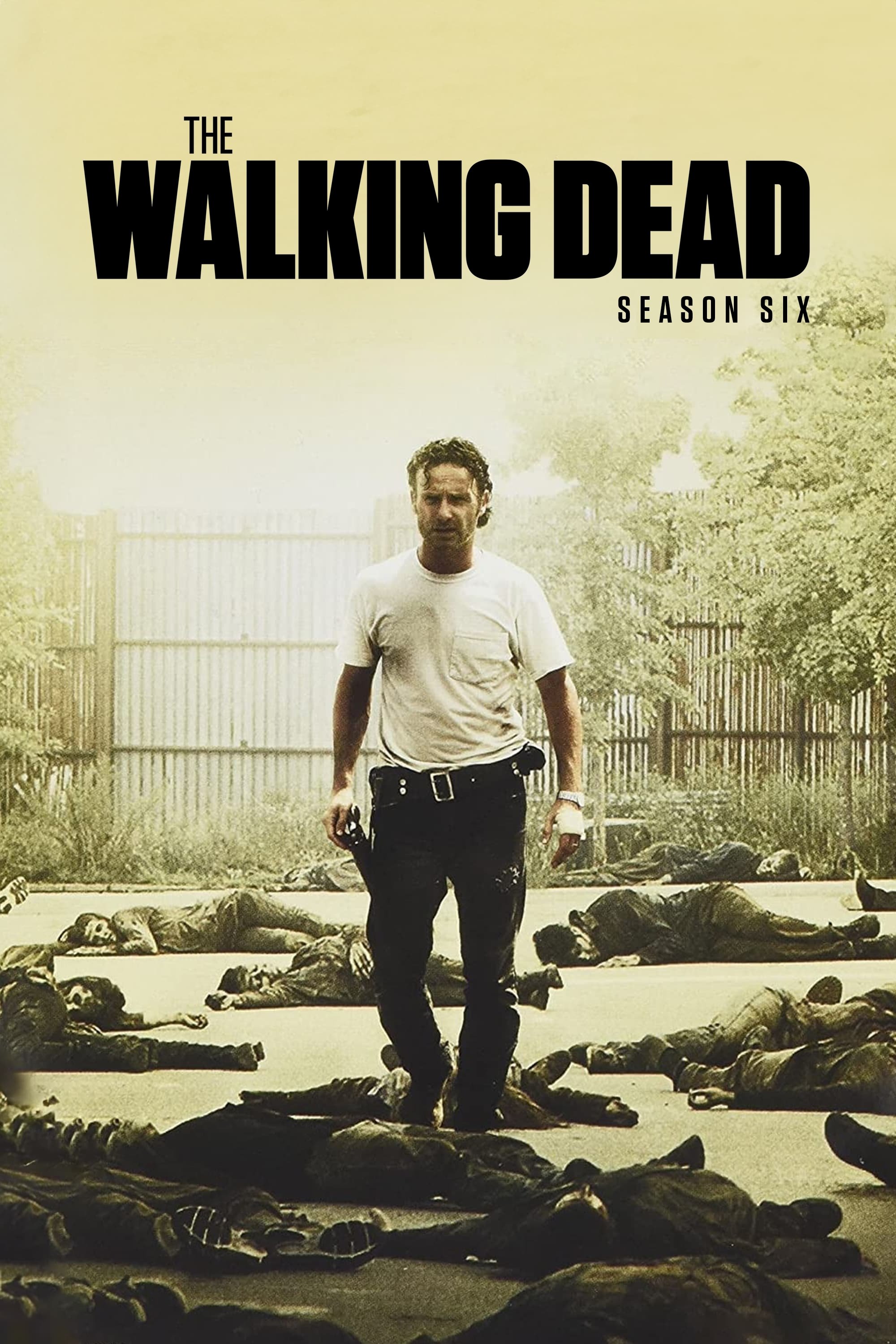 The Walking Dead - Season 6 [507445] (A1767014487) [[Shows]] --Plex--